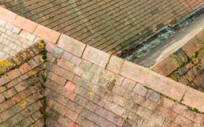 How Lichens Affect Your Roofing And Gutter Systems