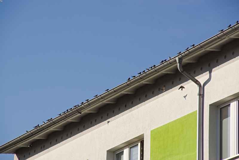 gutter cleaning for condos