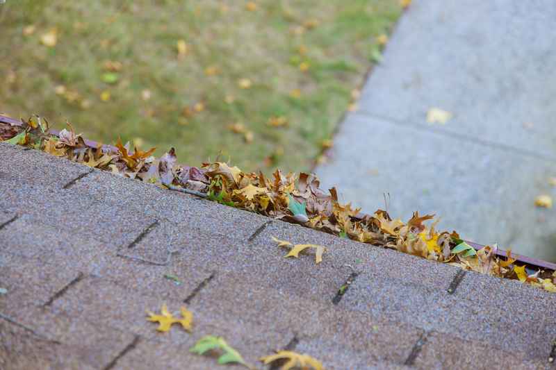 protect your foundation with clean gutters