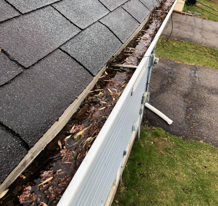 Gutter Cleaning Safety: Tips for DIY Enthusiasts and Professionals