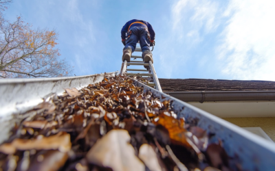 Essential Tools for High Ladder Gutter Work: Specialized Gutter Cleaning Tools and Techniques